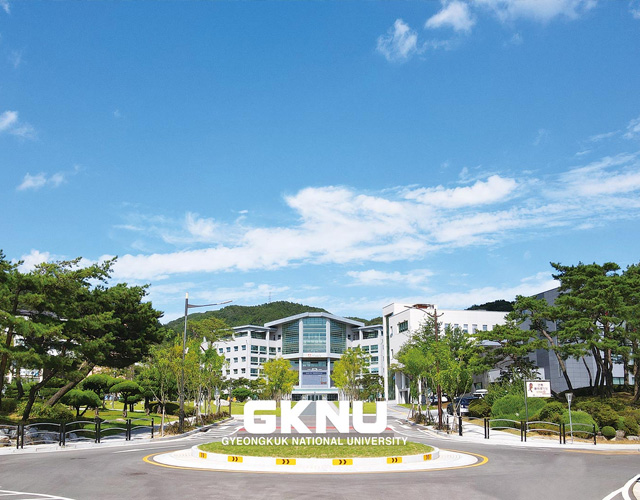 安东国立大学